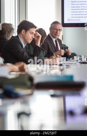 Mats Lindberg, CEO von Bildupphovsratt ein Seminar zum Thema „Rechte visueller Autoren auf digitalen Wert“ von Cepic (Coordination of European Picture Agencies Stock, Press and Heritage), am Dienstag, den 28. Februar 2017, im Europäischen parlament in Brüssel. BELGA FOTO AURORE BELOT Stockfoto