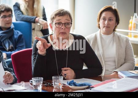 Zweite Podiumsdiskussion, Sprecher VG Bild-Kunst Anke Schierholz, Seminar "Rechte visueller Autoren auf digitalen Wert" von Cepic (Koordinierung der europäischen Bildagenturen Stock, Press and Heritage) im Europäischen parlament am Dienstag, den 28. Februar 2017 in Brüssel. BELGA FOTO AURORE BELOT Stockfoto