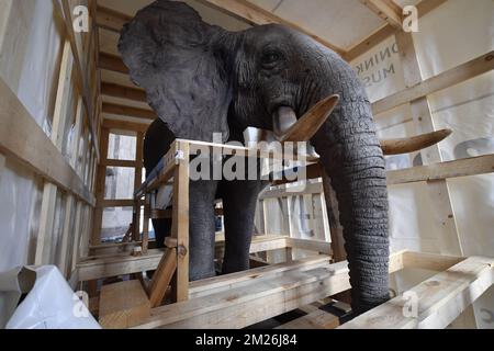 Die Abbildung zeigt die Installation des montierten Elefanten und der Giraffe vor der Wiedereröffnung des Königlichen Museums für Zentralafrika im Mai in Tervuren, Freitag, den 21. April 2017. Die Tierpräparate blieben während der Renovierungszeit des Museums in Technopolis und Autoworld. BELGA FOTO DIRK WAEM Stockfoto