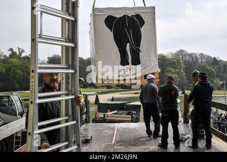 Die Abbildung zeigt die Installation des montierten Elefanten und der Giraffe vor der Wiedereröffnung des Königlichen Museums für Zentralafrika im Mai in Tervuren, Freitag, den 21. April 2017. Die Tierpräparate blieben während der Renovierungszeit des Museums in Technopolis und Autoworld. BELGA FOTO DIRK WAEM Stockfoto