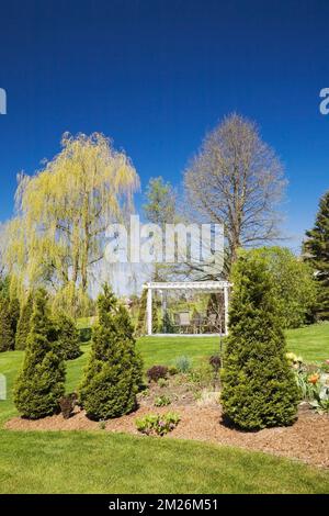 Pergola und Thuja - Zedernbäume an Mulchgrenzen und Salix - weinende Weidenbäume im Garten im Frühling. Stockfoto