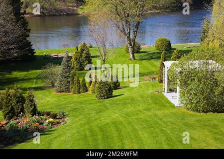 Geneigter grüner Rasen mit Pergola und Thuja - Zedernbäume in Mulchgrenzen im Garten im Frühling. Stockfoto