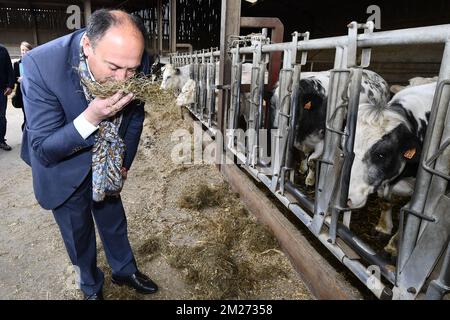 Der Minister für KMU, Unternehmer, Landwirtschaft und soziale Integration, Willy Borsus, zeigte sich bei einem Besuch eines Landwirts in Corroy-le-Grand am Dienstag, den 16. Mai 2017. BELGA FOTO ERIC LALMAND Stockfoto