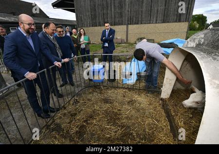 Belgischer Premierminister Charles Michel, Minister für KMU, Unternehmer, Landwirtschaft und soziale Integration Willy Borsus und Philippe Janssens, Foto bei einem Besuch eines Landwirts in Corroy-le-Grand am Dienstag, den 16. Mai 2017. BELGA FOTO ERIC LALMAND Stockfoto