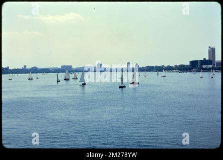 Charles River in Beacon Hill, Community Boat Club, Segelboote, Segeln, Bootsclubs, Flüsse, Waterfront, Cities & Dörfer, Community Boating Inc. Fotos von Ernst Halberstadt Stockfoto