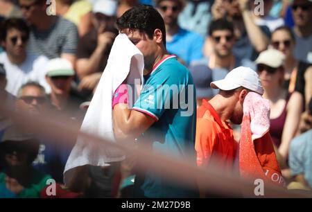 Kanadische Milos Raonic (ATP 6) und belgischer Steve Darcis (ATP 38), die während eines Tennisspiels in der ersten Runde des Herrenturniers beim Roland Garros French Open Tennis Turnier in Paris, Frankreich, am Montag, den 29. Mai 2017, fotografiert wurden. Der Haupttisch Roland Garros Grand Slam findet vom 29. Mai bis 11. Juni 2017 statt. BELGA PHOTO VIRGINIE LEFOUR Stockfoto