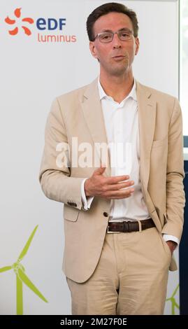 EDF Luminus CEO Gregoire Dallemagne pictured during a joint press conference of EDF Luminus and Newelec, Thursday 01 June 2017. Electricity producer and energy supplier Luminus is announcing the acquisition of a majority participation in electricity techniques firm Newelec. BELGA PHOTO BENOIT DOPPAGNE Stockfoto
