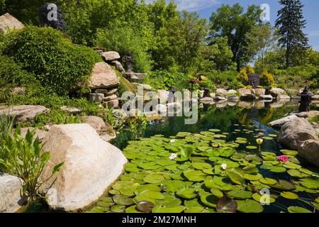 Teich mit dekorativen asiatischen Skulpturen im Zen-Garten an der Route des Gerbes d'Angelica im Frühling, Mirabel, Quebec, Laurentians, Kanada. Stockfoto