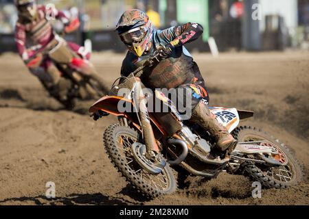 Dutch Glenn Coldenhoff wurde während des Motocross MXGP Belgiens Grand Prix am Sonntag, den 06. August 2017 in Lommel fotografiert. BELGA FOTO KRISTOF VAN ACCOM Stockfoto