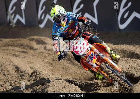 Der italienische Antonio Cairoli wurde während des Motocross MXGP Belgiens Grand Prix, Sonntag, den 06. August 2017 in Lommel, fotografiert. BELGA FOTO KRISTOF VAN ACCOM Stockfoto