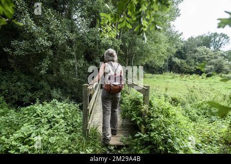 Lasne-Tal in Rixensart | Vallee de la Lasne a Rixensart Le vallon du Carpu 22/08/2017 Stockfoto