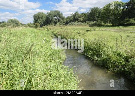 Lasne-Tal in Rixensart | Vallee de la Lasne a Rixensart Le vallon du Carpu 22/08/2017 Stockfoto