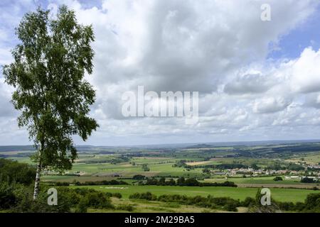 Gegenüber dem Ort der Maginot-Linie namens Villy La Ferte dominiert der Berg Walfroy mit seinen Legenden und der Kirche die gesamte Landschaft | Face au Fort de Villy La Ferte le mont Walfroy avec ses legendes et son eglise domine tous les environs 30/07/2017 Stockfoto