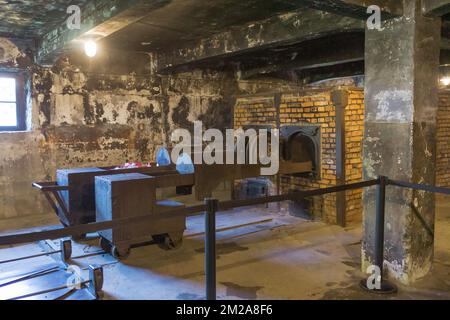 Krematorisierung in Auschwitz-Birkenau Opfer nazi Konzentrationslager Stockfoto