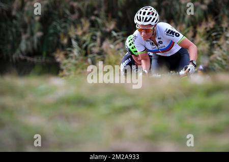 Die belgische Sanne kann sich nicht in Aktion während des Frauenelitenrennen beim Radrennen „Poldercross“ in Bazel, Kruibeke, dem 3.. Rennen der Brico Cross Trophy, am Samstag, den 14. Oktober 2017, vorstellen. BELGA FOTO DAVID STOCKMAN Stockfoto