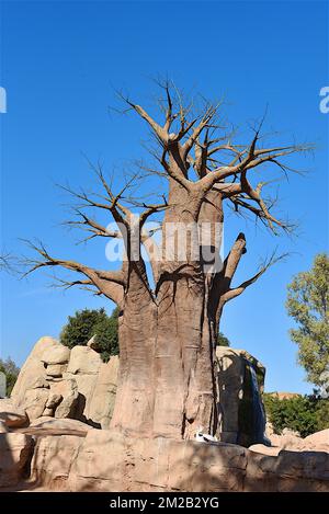 Baobab | Baobab 16/11/2017 Stockfoto