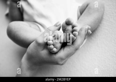 Baby Füße in den Händen von Mutter, Vater, älterer Bruder oder Schwester, Familie. Stockfoto