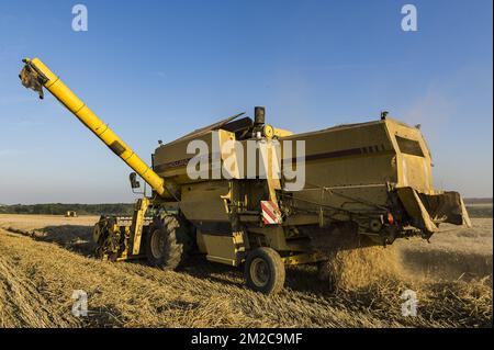 Die Bauern nutzen ein paar Tage ohne Regen, um ihre Felder zu ernten. Die Samen werden direkt in einen Lkw gegossen. Der Mähdrescher gewährleistet einen Prozess der Trennung der Samen und der restlichen Pflanzen | Les agriculteurs profitent de quelques jours de beau temps, sans pluie, pour faire Tourner les moissonneuses-batteuses dans leurs champs et récolter les graines. Les Graines sont Directement Separee de la Paille. 15/08/2016 Stockfoto