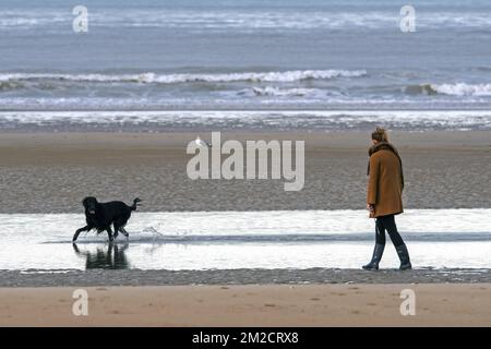 Lonely woman walking on desolate sandy beach with playful black dog running through the water along the North Sea coast in winter | Femme seule se promène avec chien noir sur la plage de la côte belge en hiver 30/01/2018 Stock Photo