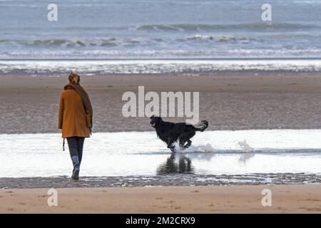 Lonely woman walking on desolate sandy beach with playful black dog running through the water along the North Sea coast in winter | Femme seule se promène avec chien noir sur la plage de la côte belge en hiver 30/01/2018 Stock Photo