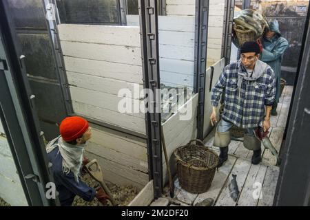 Crew in the fish hold of the last Iceland trawler Amandine, renovated fishing boat now serves as an interactive museum in Ostend, Belgium | Equipage dans la cale à poisson à bord du chalutier Amandine, maintenant bateau musée à Ostende, Belgique 22/02/2018 Stock Photo