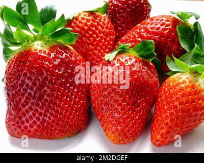 Lebensmittel | Alimentation Fraises 04/03/2018 Stockfoto