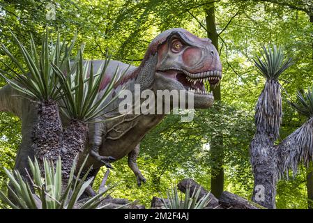 Realistische lebensnachbildung des Tyrannosaurus rex, des coelurosaurianischen Theropod Dinosaurus aus der Maastrichtianischen Zeit der oberen Kreidezeit | Réplique de tyrannosaure, Dinosaure du partie supérieure du Maastrichtien, dernier étage du système Crétacé 09/05/2018 Stockfoto