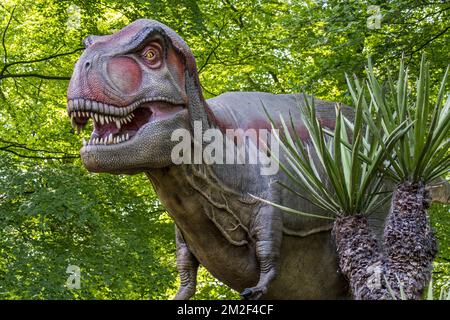 Realistische lebensnachbildung des Tyrannosaurus rex, des coelurosaurianischen Theropod Dinosaurus aus der Maastrichtianischen Zeit der oberen Kreidezeit | Réplique de tyrannosaure, Dinosaure du partie supérieure du Maastrichtien, dernier étage du système Crétacé 09/05/2018 Stockfoto