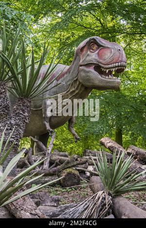 Realistische lebensnachbildung des Tyrannosaurus rex, des coelurosaurianischen Theropod Dinosaurus aus der Maastrichtianischen Zeit der oberen Kreidezeit | Réplique de tyrannosaure, Dinosaure du partie supérieure du Maastrichtien, dernier étage du système Crétacé 09/05/2018 Stockfoto