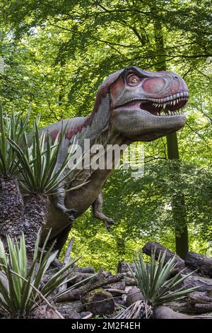 Realistische lebensnachbildung des Tyrannosaurus rex, des coelurosaurianischen Theropod Dinosaurus aus der Maastrichtianischen Zeit der oberen Kreidezeit | Réplique de tyrannosaure, Dinosaure du partie supérieure du Maastrichtien, dernier étage du système Crétacé 09/05/2018 Stockfoto