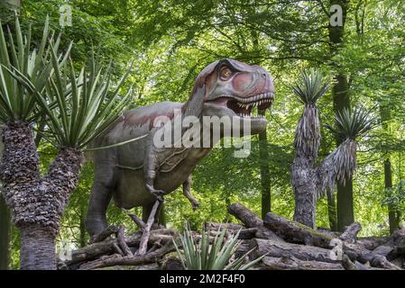 Realistische lebensnachbildung des Tyrannosaurus rex, des coelurosaurianischen Theropod Dinosaurus aus der Maastrichtianischen Zeit der oberen Kreidezeit | Réplique de tyrannosaure, Dinosaure du partie supérieure du Maastrichtien, dernier étage du système Crétacé 09/05/2018 Stockfoto