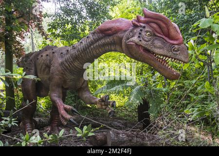 Realistische lebensgroße Nachbildung des Dilophosaurus, Theropod Dinosaurier, der in Nordamerika während der frühen Jurazeit lebte | Réplique de Dilophosaure, Dinosaure du Jurassique inférieur 09/05/2018 Stockfoto