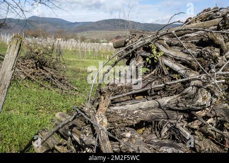 Bois de Chauffage Aligne en Steres. En toutes saisons le bois est laisse a l'air libre parfois protege au-dessus par une bache ou des plaques metalliques. Il Eliminera ainsi toute trace de seve Pendant trois et sera alors bien sec pour etre brule. | Holz drei Jahre lang trocknen, bevor es verbrannt wird. Er bleibt draußen, um seinen saft zu verlieren. 12/05/2018 Stockfoto