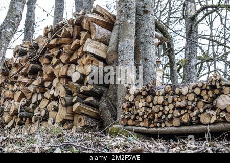 Bois de Chauffage Aligne en Steres. En toutes saisons le bois est laisse a l'air libre parfois protege au-dessus par une bache ou des plaques metalliques. Il Eliminera ainsi toute trace de seve Pendant trois et sera alors bien sec pour etre brule. | Holz drei Jahre lang trocknen, bevor es verbrannt wird. Er bleibt draußen, um seinen saft zu verlieren. 12/05/2018 Stockfoto