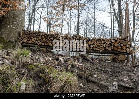 Bois de Chauffage Aligne en Steres. En toutes saisons le bois est laisse a l'air libre parfois protege au-dessus par une bache ou des plaques metalliques. Il Eliminera ainsi toute trace de seve Pendant trois et sera alors bien sec pour etre brule. | Holz drei Jahre lang trocknen, bevor es verbrannt wird. Er bleibt draußen, um seinen saft zu verlieren. 12/05/2018 Stockfoto