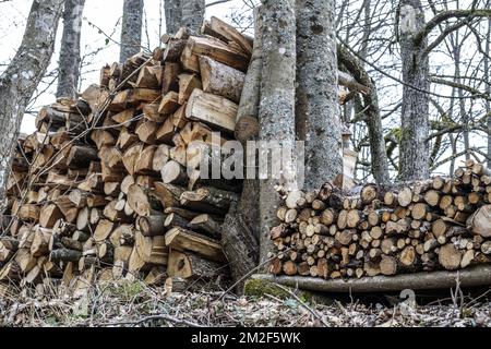 Bois de Chauffage Aligne en Steres. En toutes saisons le bois est laisse a l'air libre parfois protege au-dessus par une bache ou des plaques metalliques. Il Eliminera ainsi toute trace de seve Pendant trois et sera alors bien sec pour etre brule. | Holz drei Jahre lang trocknen, bevor es verbrannt wird. Er bleibt draußen, um seinen saft zu verlieren. 12/05/2018 Stockfoto