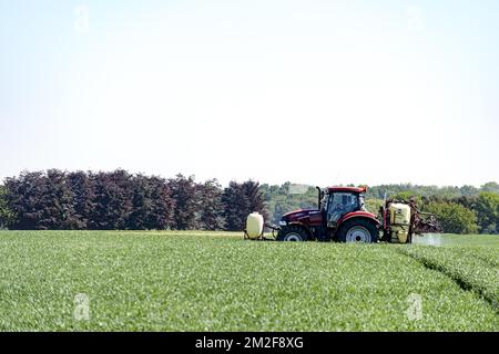 Ein Traktor mit einem gezogenen Sprüher besprüht das Feld mit einer Fungizidbehandlung | UN tracteur pulverise son Champ a l'aide d'un Traitement fongicide traitant certaines maladies fongiques sur la production 08/05/2018 Stockfoto