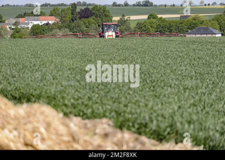 Ein Traktor mit einem gezogenen Sprüher besprüht das Feld mit einer Fungizidbehandlung | UN tracteur pulverise son Champ a l'aide d'un Traitement fongicide traitant certaines maladies fongiques sur la production 08/05/2018 Stockfoto