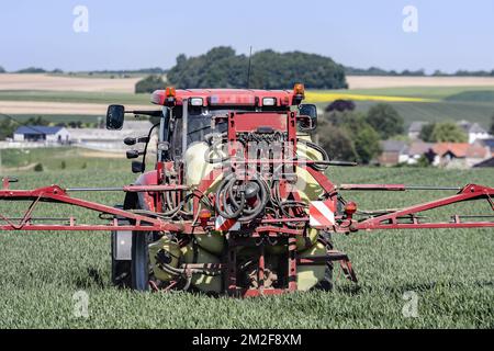 Ein Traktor mit einem gezogenen Sprüher besprüht das Feld mit einer Fungizidbehandlung | UN tracteur pulverise son Champ a l'aide d'un Traitement fongicide traitant certaines maladies fongiques sur la production 08/05/2018 Stockfoto