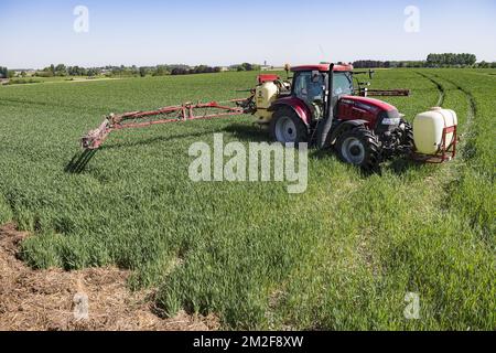 Ein Traktor mit einem gezogenen Sprüher besprüht das Feld mit einer Fungizidbehandlung | UN tracteur pulverise son Champ a l'aide d'un Traitement fongicide traitant certaines maladies fongiques sur la production 08/05/2018 Stockfoto