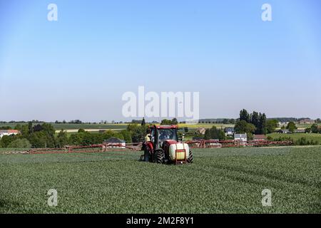 Ein Traktor mit einem gezogenen Sprüher besprüht das Feld mit einer Fungizidbehandlung | UN tracteur pulverise son Champ a l'aide d'un Traitement fongicide traitant certaines maladies fongiques sur la production 08/05/2018 Stockfoto