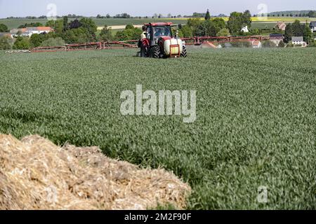 Ein Traktor mit einem gezogenen Sprüher besprüht das Feld mit einer Fungizidbehandlung | UN tracteur pulverise son Champ a l'aide d'un Traitement fongicide traitant certaines maladies fongiques sur la production 08/05/2018 Stockfoto