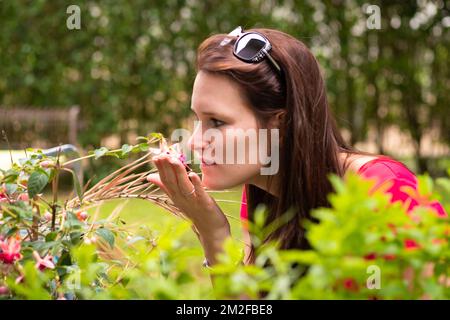 Blumen im Garten. | Fleurs du jardin. 05/05/2016 Stockfoto