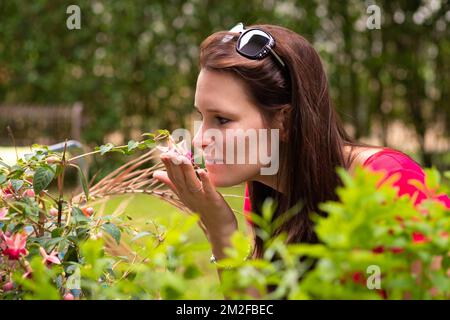 Blumen im Garten. | Fleurs du jardin. 05/05/2016 Stockfoto