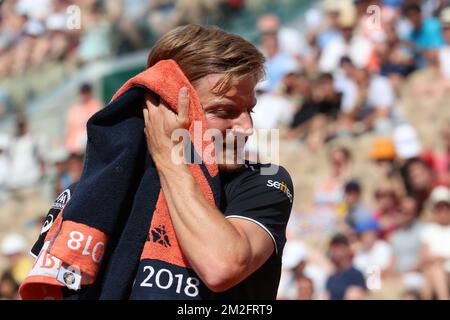 Der belgische David Goffin (ATP 9) reagiert während des Tennisspiels gegen den italienischen Marco Cecchinato in der vierten Runde der MännerSingles beim Roland Garros French Open Tennis Turnier, Sonntag, den 03. Juni 2018 in Paris, Frankreich. Die Hauptziehung des diesjährigen Roland Garros Grand Slam findet vom 27. Mai bis 10. Juni statt. BELGA FOTO BENOIT DOPPPAGNE Stockfoto