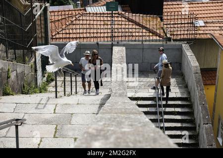 Die schöne Stadt Porto. | La ville de Porto Foto: JMQuinet/Reporter 12/06/2018 Stockfoto