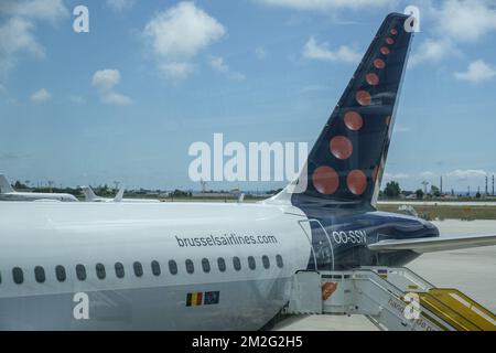 Brüssel Airlines Corridor d'Acces et vue sur une aile et le Logo de la compagnie aerienne. Zugang zum Flugzeug et Sicht auf einem Flügel eines Flugzeugs der Brüsseler Fluggesellschaften. 11/06/2018 Stockfoto