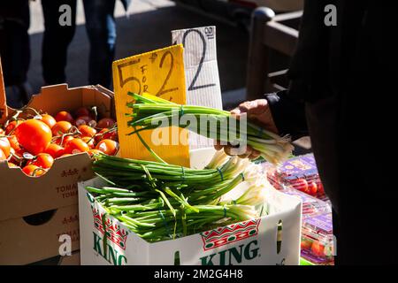 New York, USA. 13.. Dezember 2022. Ein Kunde sucht Gemüse zum Verkauf im Stadtteil Brooklyn in New York, USA, 13. Dezember 2022 aus. Die Preise in den USA stiegen im November weniger als von Analysten erwartet, was darauf hindeutet, dass die steigende Inflation möglicherweise leicht zurückgeht.der Verbraucherpreisindex (CPI), ein Maß für US-Dienstleistungen und -Güter, stieg im Vergleich zum Oktober um nur 0,1 Prozent an, Und stieg um 7,1 Prozent gegenüber der gleichen Zeit im letzten Jahr, laut Daten, die am Dienstag aus den USA veröffentlicht wurden Arbeitsministerium. Kredit: Michael Nagle/Xinhua/Alamy Live News Stockfoto