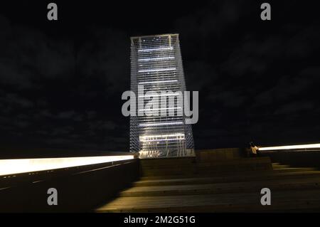 Rise Again, eine Skulptur in der Queen's Marque Waterfront im Zentrum von Halifax, Nova Scotia, Kanada, bei Nacht. Stockfoto