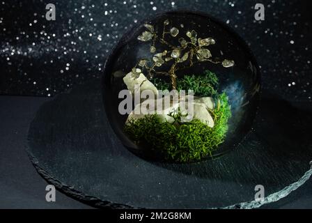 Kugelförmiges Terrarium mit Moos und einem Drahtbaum im Inneren, auf dunklem, glitzerndem Hintergrund, mit weicher Fokussierung Stockfoto